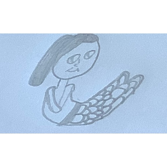 lillisshop
